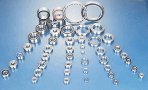 Ofna 9.5 Violator RTR Sealed Bearing Kit