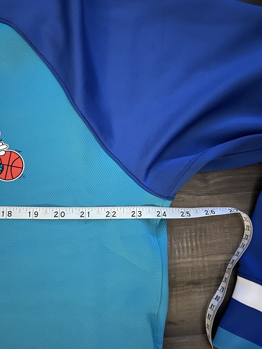 Jordan シャーロット・ホーネッツ ウォームアップウェア Jordan Brand Charlotte Hornets Gear, Jordan Brand Hornets