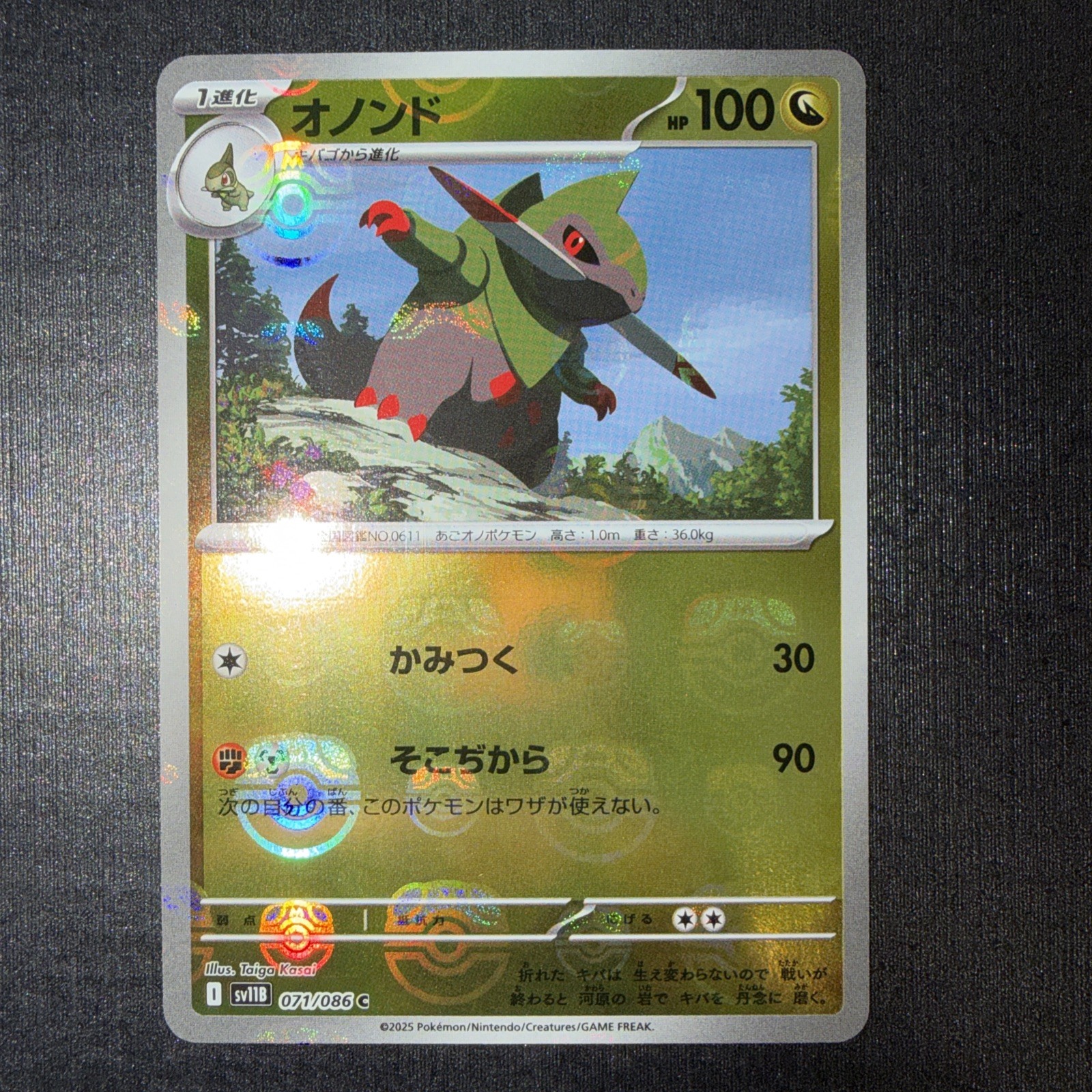 Druddigon (Master Ball Pattern) 071/086 Sv: White Flare Holo