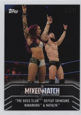 2018 WWE Women's Division Mixed Match Silver /50 Finn Balor Sasha Banks r9d