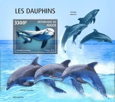 Dolphins