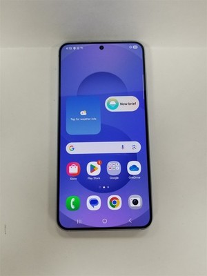 Samsung Galaxy S25 128GB Icy Blue SM-S931U (Spectrum) Fully Functional DG7694