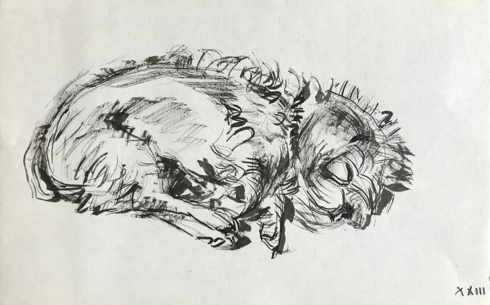 Hélène Vogt Original Ink Drawing of a Dog 28