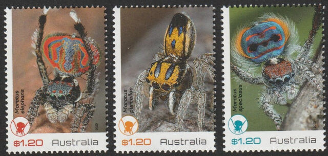Australia 2023 : Peacock Spiders - Design Set x 3 Stampa Mint Never Hinged.