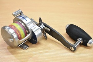 Daiwa Saltiga 15hl | eBay