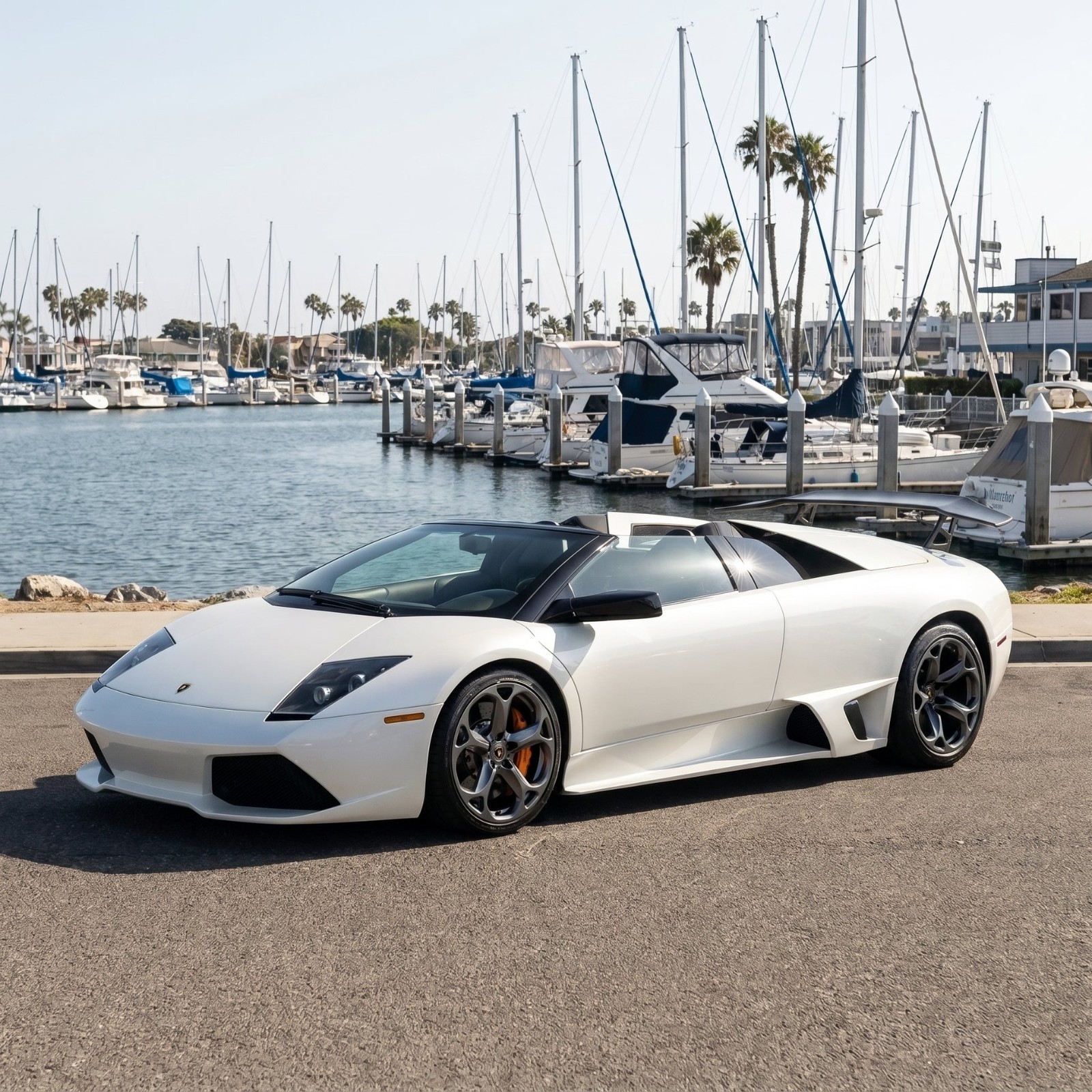 Custom Lamborghini Murciélago Hercules 19/20" Wheels
