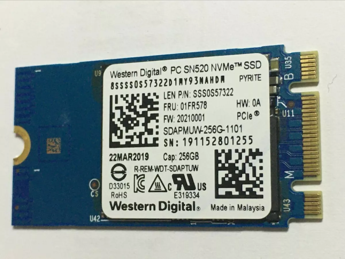 Wdc sn520 shop