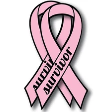 Magnet Me Up Breast Cancer Survivor Pink Ribbon Magnet Decal, 3.5x7 Inches, 2 PK
