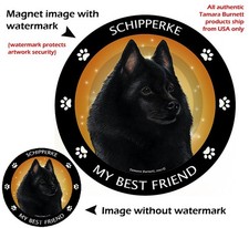 Schipperke My Best Friend Dog Car Magnet