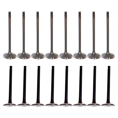 DNJ Engine 8 Intake & 8 Exhaust Valves Kit for Esteem Sidekick Swift Tracker L4