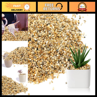 Coarse Silica Sand for Plants - Decorative Horticultural Sand for Succulents, Ca