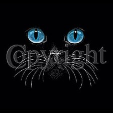 Big Blue Eyed Cat Face Tshirt  Sizes/Colors