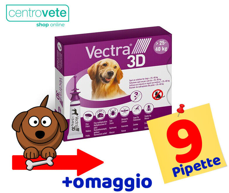 Foto 4 di 4