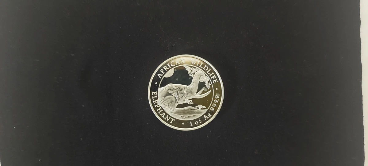 Moneda Plata 1 Onza Elefante de Somalia 2023 BU - African Wildlife 1 oz Silver