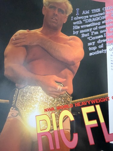 1991 NJPW WCW Starrcade in Tokyo Dome Program Ric Flair Sting Muta Vader NWA - Picture 4 of 13