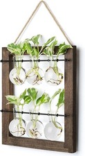 Mkono Hanging Wall Planter Glass Propagation for Indoor Outdoor Decor