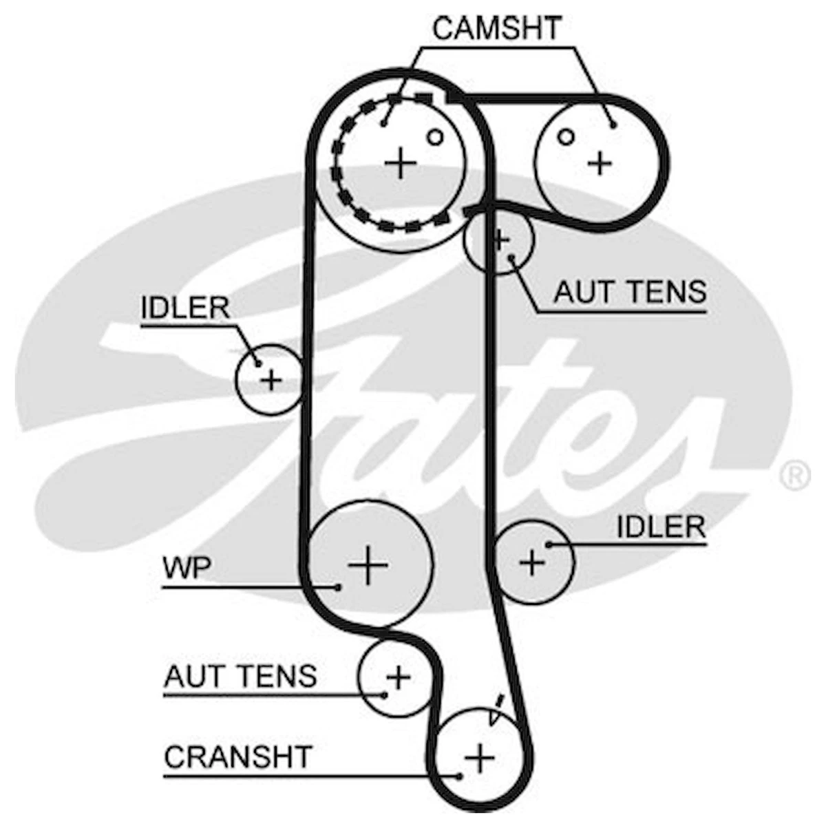 Cam belt vw polo outlet