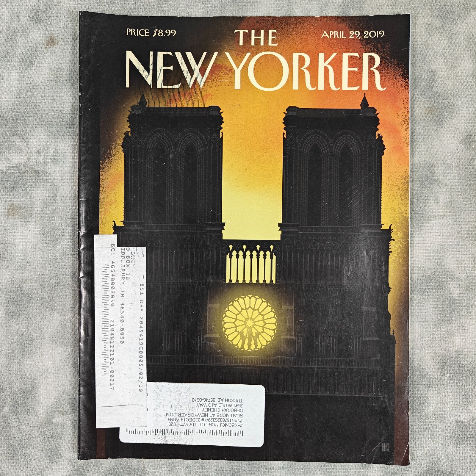 The New Yorker Apr 29 2019 Travel Issue Notre Dame Cover Bob Staake Our Lady