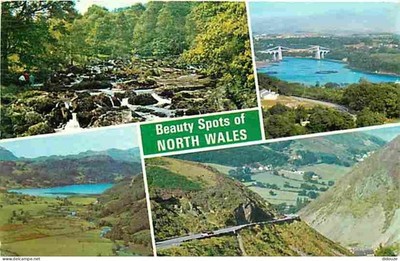 Postcard - UK - Wales - Beauty Spots of North Wales - Mul