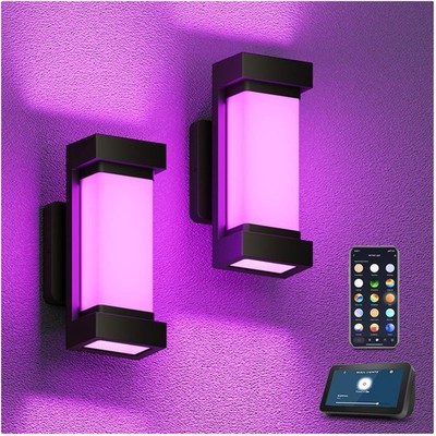 Energy-Efficient Outdoor Sconce Lights 2-Pack