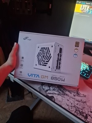 FSP/Fortron VITA GM W 850W 80 PLUS Gold Netzteil - ATX 3.1 Weiß Modular