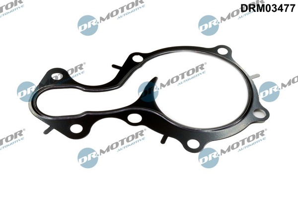 Dichtung, Wasserpumpe FÜR Ford - Dr.Motor Automotive DRM03477-image