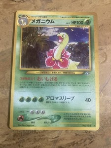 Japanese Meganium | eBay