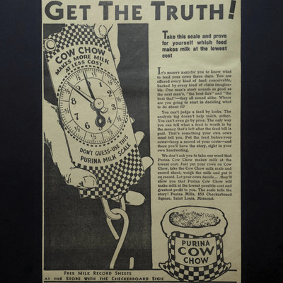Purina Cow Chow Milk Scale Checkerboard Feed Dairy Farm 1931 Vtg Print Ad