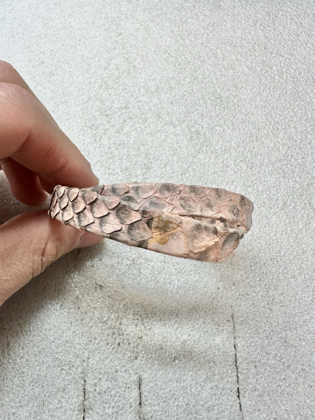 Genuine PYTHON Snakeskin Signed Hook Clasp Wrap B… - image 5