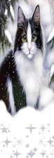 CAT GREEN EYED WINTER,FLOWERS,BUTTERLIES,DOGS,BIRDS-BOOKMARKS