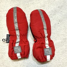 Boys Thinsulate Ski Mittens