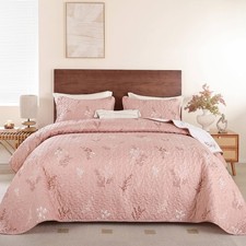 Blush Pink Quilt Set Queen Size 3 Pieces Floral Branch Botanical Quilt Bedspr...
