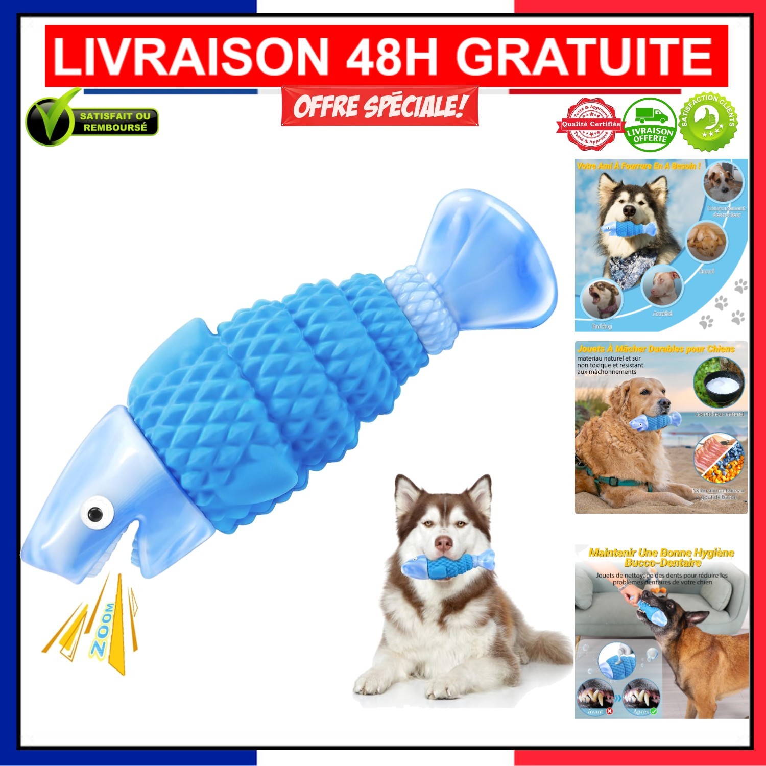 Jouet chien grand requin indestructible idéal pour le jeu en extérieur au parc