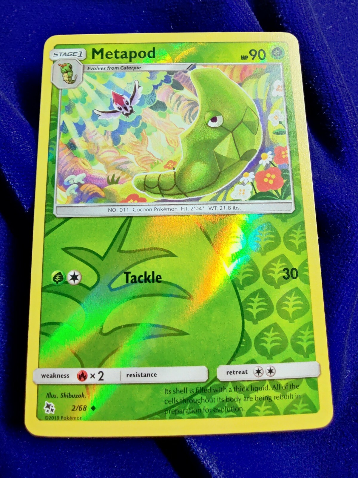 Metapod | Reverse Holo | MINT | Hidden Fates 2/68 | Uncommon | Pokemon