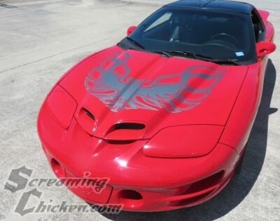 1998-2002 Trans Am WS6 70's Style Phoenix Hood Bird Vinyl Decal