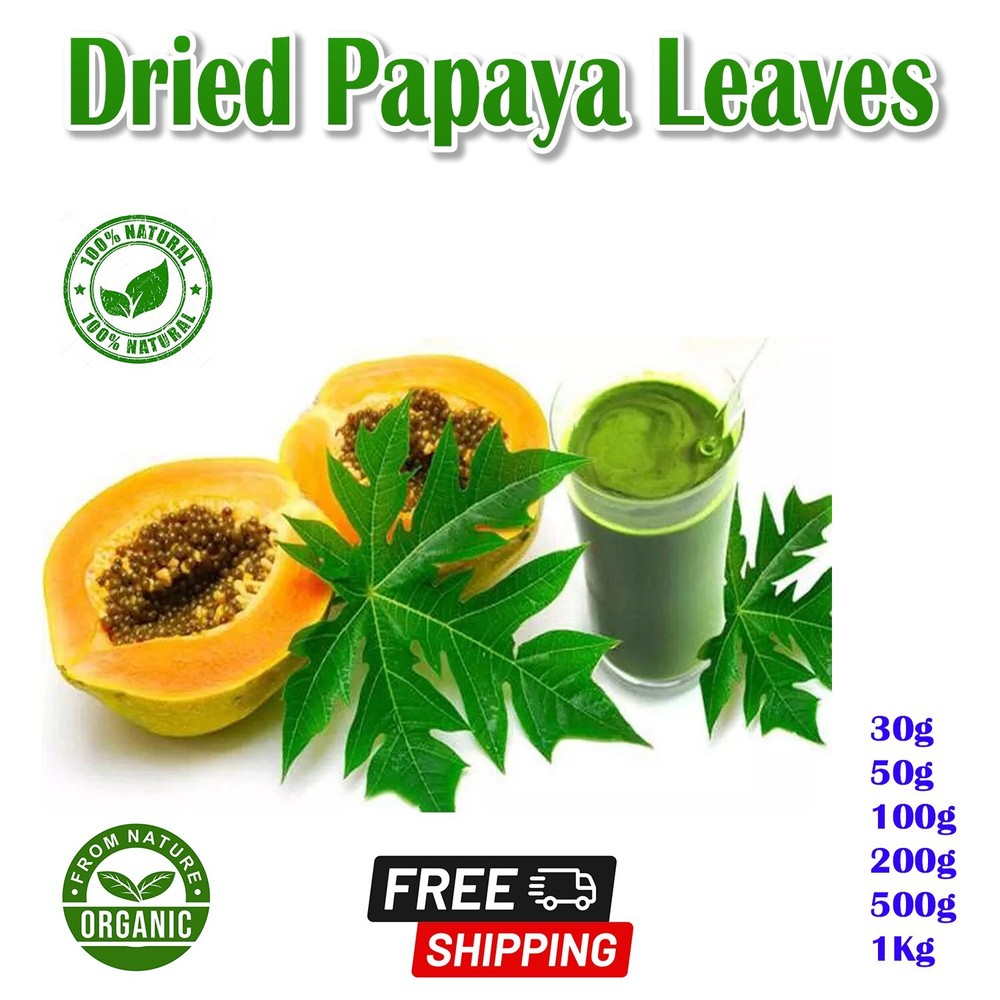 Dry Papaya Cut Leave Carica Papaya Leaf Pure Organic Natural For Immunity Boost