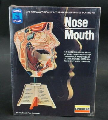 Vintage Lindberg Human Nose Mouth 3D Scale Model Kit 