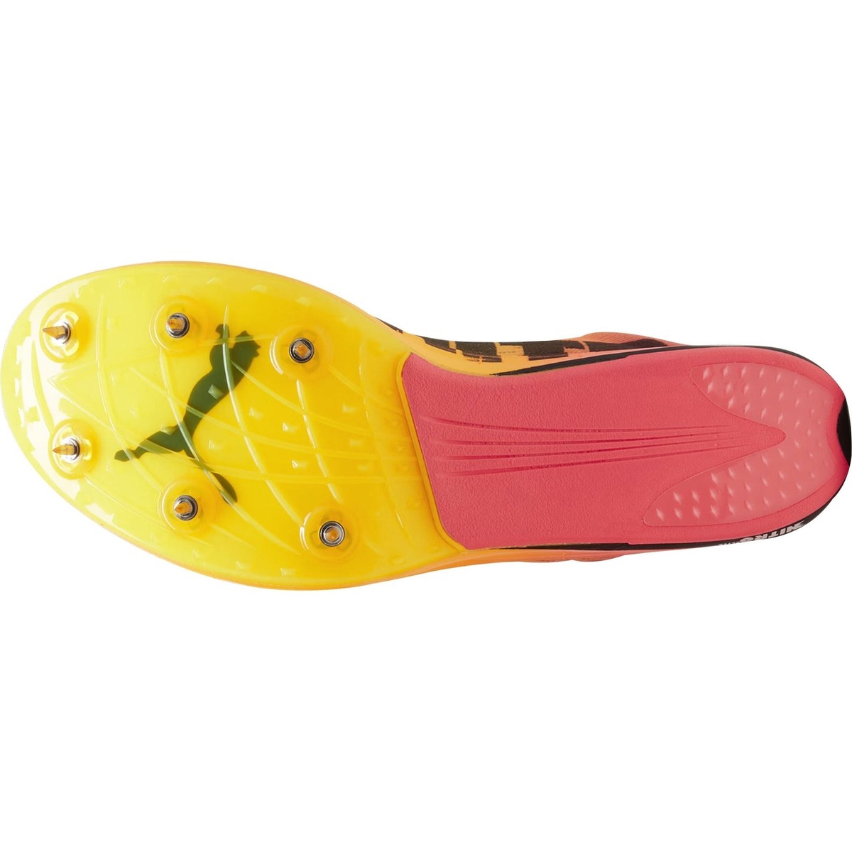 ツ*ン様 Puma EVOSPEED LONG DISTANCE NITRO E evoSPEED Long Distance NITRO™ Elite+ Track Spikes | PUMA
