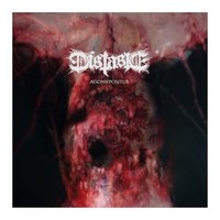 Distaste - Agoniepositur Indie Store Exclusive - Vinyl Record - F72Z