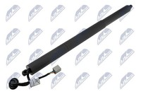 Nty AE-FR-067 Gasfeder, Koffer-/Laderaum Hinten Links