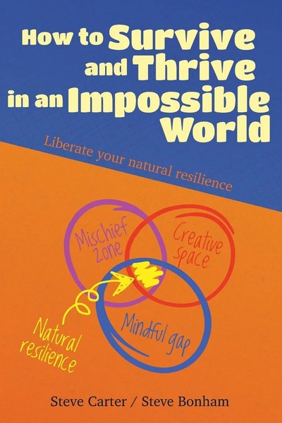 How To Survive And Thrive In An Impossible World (Second Edition) Steve Bonham-image