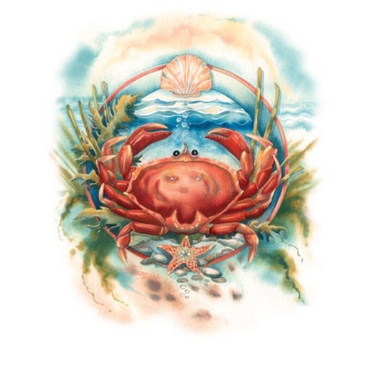 Don’t Be Crabby  T Shirt You Choose Style, Size, Color 10713