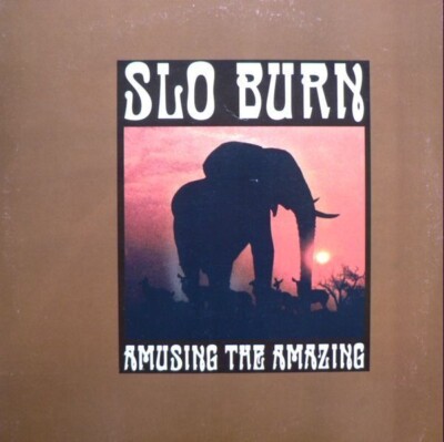 Slo Burn Amusing The Amazing INSERT + MARBLE TRANSLUCENT WHITE/BROWN Cargo