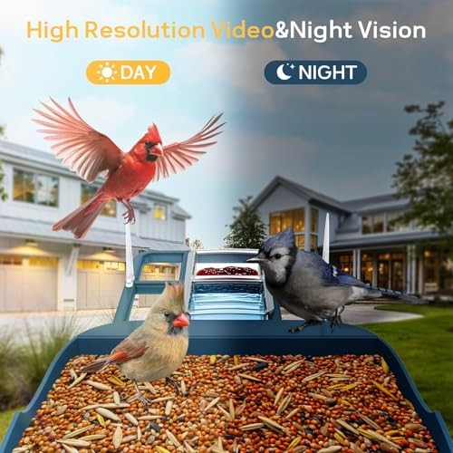 Bird Feeder with Camera,WiFi Outdoor Smart Bird Feeder Camera with Deep Blue