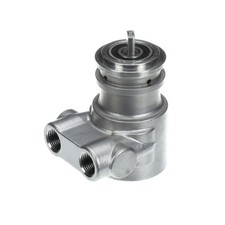 Multiplex Carb Pump Ss 100 Gph No Strain 113A100F31XX - Genuine OEM Replacement