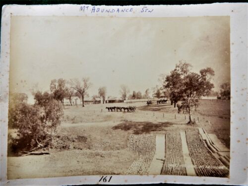 […] Mt. Abundance Station, early 1880s. - Picture 1 of 1