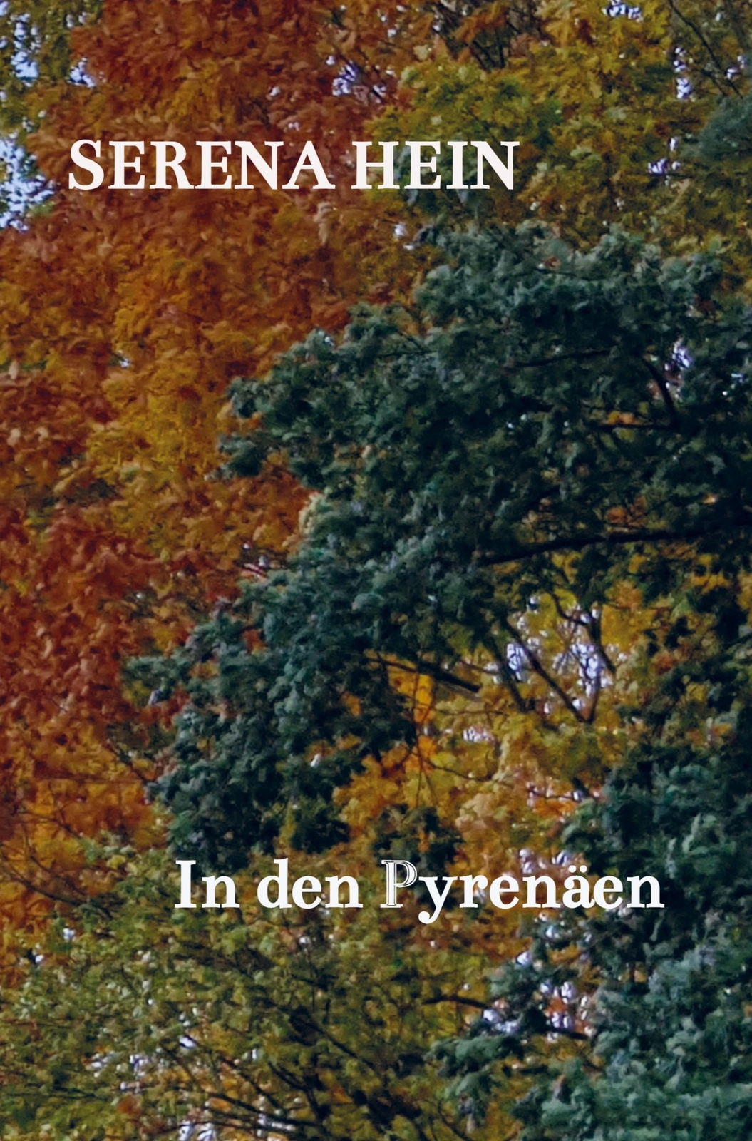 Thumbnail - In Den Pyrenäen Serena Hein Buch Hc Runder Rücken Kaschiert 68 S.