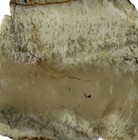 OREGON STINKING WATER PLUME AGATE SLAB ~58 grams / rough jasper mineral rock cab — photo 5