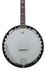 Washburn Americana B10 5-string Resonator Banjo