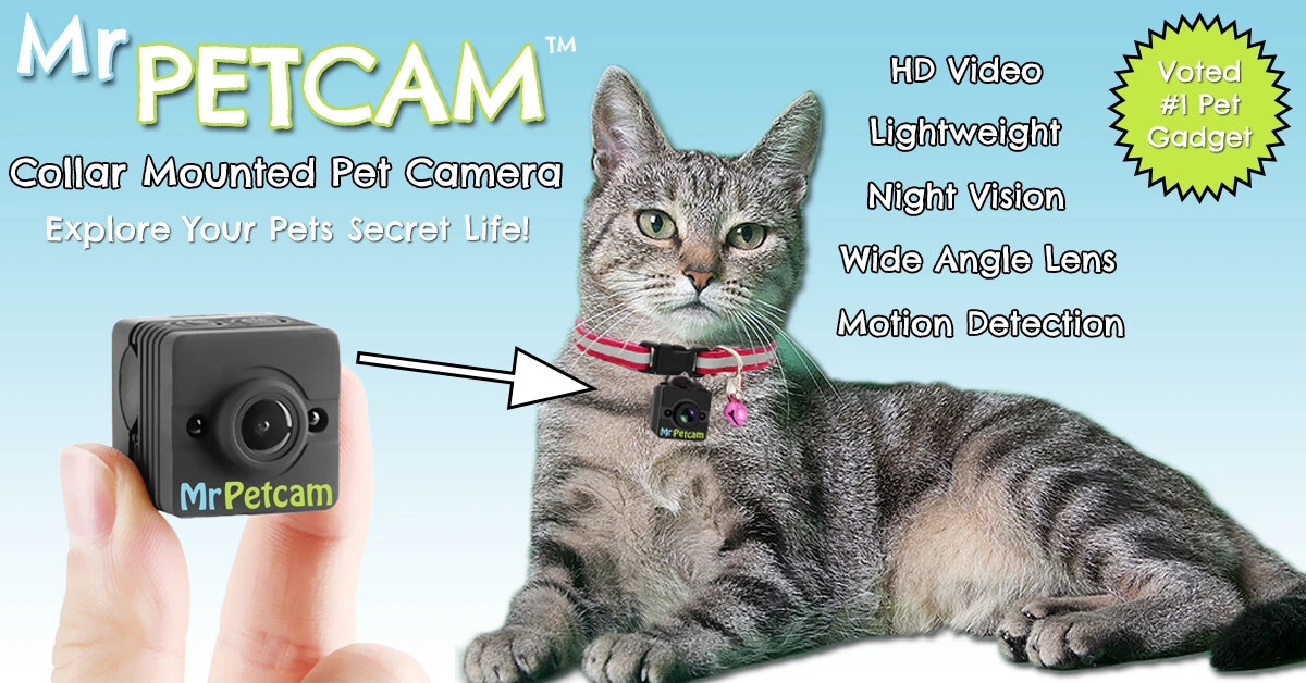 Mr Petcam HD - Caméra pour animaux de compagnie montée sur collier - Vidéo  HD, v